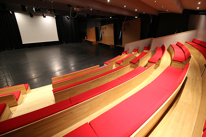 La salle Georges Guillot est une salle de spectacle, type amphithéâtre dotée de banquettes disposées en gradin avec scène 