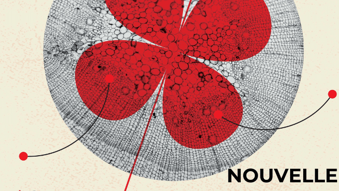 Découvrez qui sont les lauréates du concours de création étudiante de la nouvelle 1 ban site web
