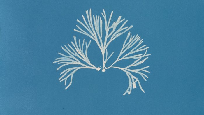 cigze2hle4q e1766137167948