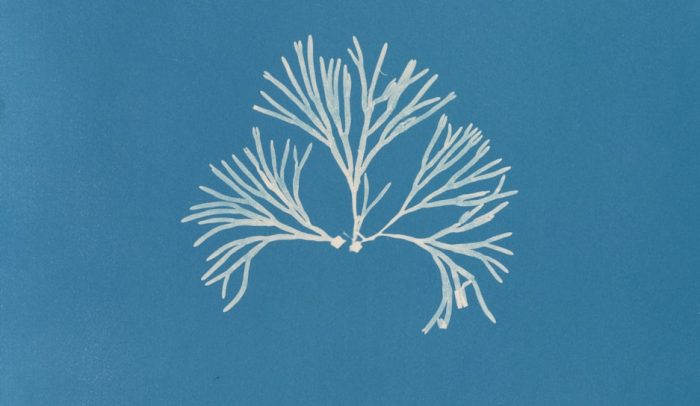 cigze2hle4q e1766137167948