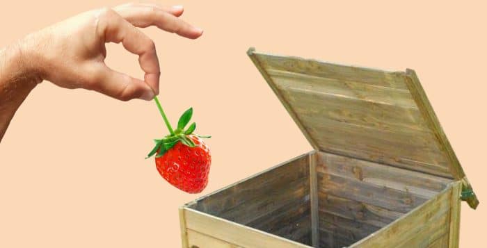 Ban 755x385 Compost