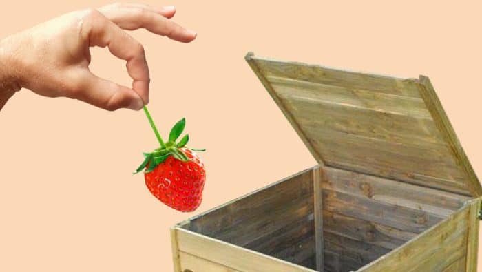 Ban 755x385 Compost